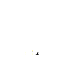 xx666